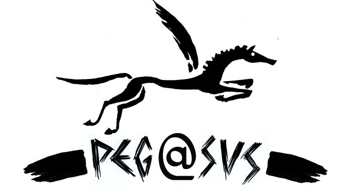 pegasus_logo_0.jpg
